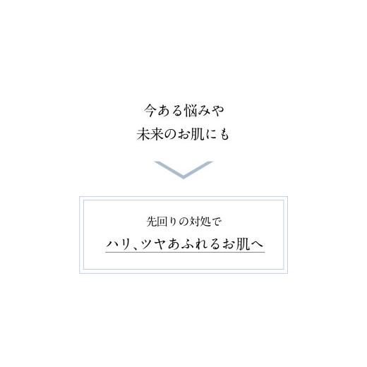 ふるさと納税 化粧水・乳液 熊本県 益城町 再春館製薬所 ドモホルンリンクル コンプリート 8点 セット_7