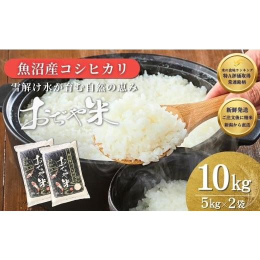 ふるさと納税 米 コシヒカリ 新潟県 小千谷市 注文後に精米する新鮮発送 令和7年産 新潟県 魚沼産コシヒカリ 計10kg (5kg2袋) 徹底した品質管理でお届け 新潟…