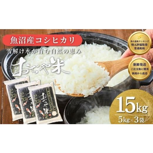 ふるさと納税 米 コシヒカリ 新潟県 小千谷市 コシヒカリ 注文後に精米する新鮮発送 令和7年産 新潟県 魚沼産コシヒカリ 計15kg (5kg3袋) 徹底した品質管理で…