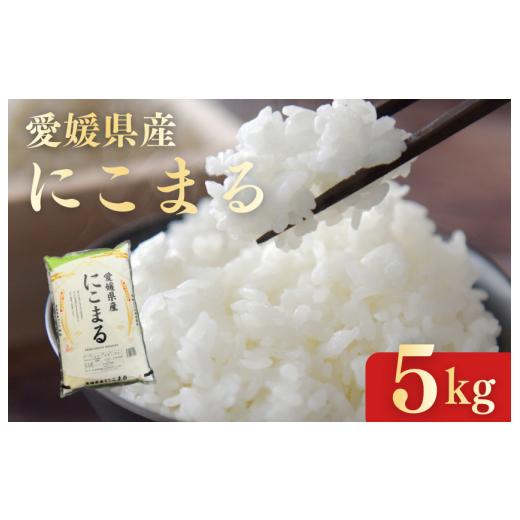 ふるさと納税 米 愛媛県 四国中央市 愛媛県産にこまる5kg 5kg
