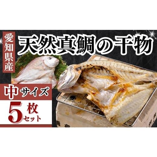 ふるさと納税 魚貝類 鯛 愛知県 南知多町 岬だよりの大人気 天然真鯛の干物 中サイズ5枚セット 中サイズ5枚セット:24,000円