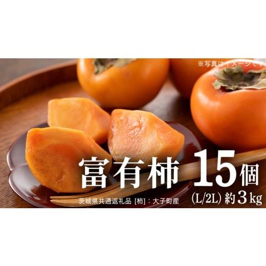 ふるさと納税 果物類 柿 茨城県 つくばみらい市 富有柿 15個 約3kg(L、2L) 11月より発送開始 (茨城県共通返礼品 柿 :大子町産) | 柿 かき L〜2Lサイズ 15…