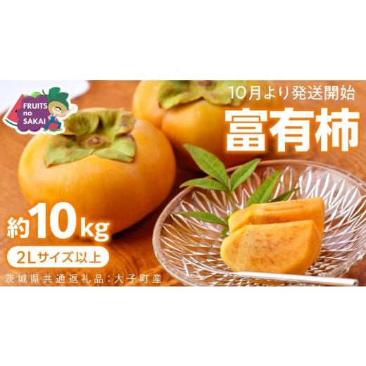 ふるさと納税 果物類 柿 茨城県 つくばみらい市 富有柿 2L以上 約10kg 2026年10月より発送開始 (茨城県共通返礼品 柿 :大子町産) | かき 旬 お取り寄せ フ…