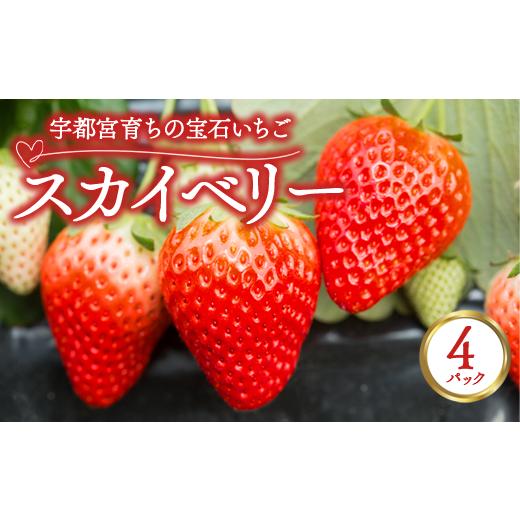 ふるさと納税 いちご 栃木県 宇都宮市 宇都宮育ちの宝石いちご「スカイベリー」 4パック | 苺 イチゴ 果物 フルーツ 栃木県 宇都宮市 2025年12月中旬〜2026年3…