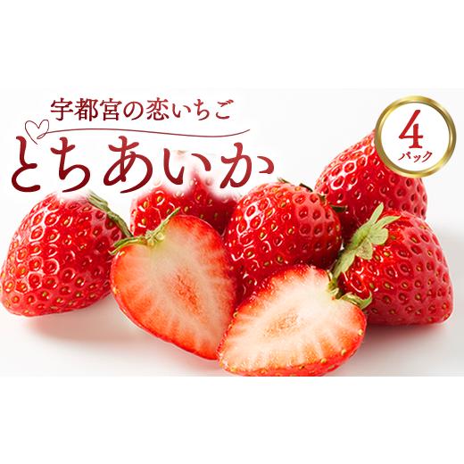 ふるさと納税 いちご 栃木県 宇都宮市 宇都宮の恋いちご「とちあいか」 4パック —甘くて可愛い、愛されいちご— | 苺 イチゴ 果物 フルーツ 栃木県 宇都宮市 …