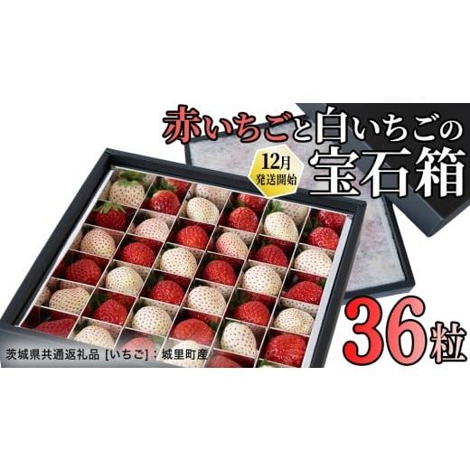 ふるさと納税 いちご 茨城県 つくばみらい市 赤白いちごの宝石箱アソート 36粒 2025年12月から発送開始 (茨城県共通返礼品 いちご :城里町産) | いちご 苺 …