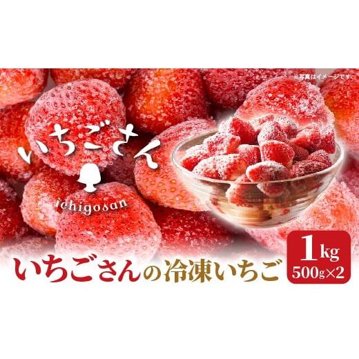 ふるさと納税 いちご 佐賀県 多久市 冷凍いちご(いちごさん)1kg(500g×2) _b-502