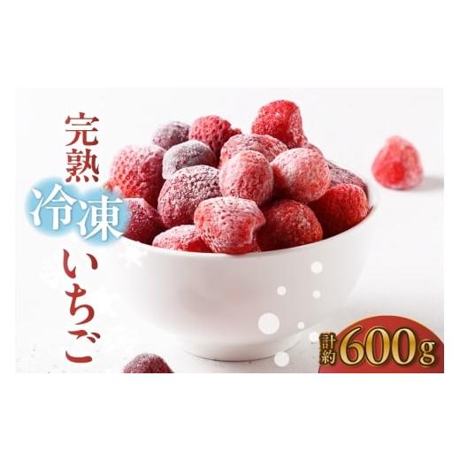 ふるさと納税 いちご 愛知県 常滑市 先行予約 完熟冷凍いちご 600g×1袋 計600g いちご 苺 ストロベリー 冷凍 フローズン 美味しい 甘い 大粒 大きい 果物 フ…
