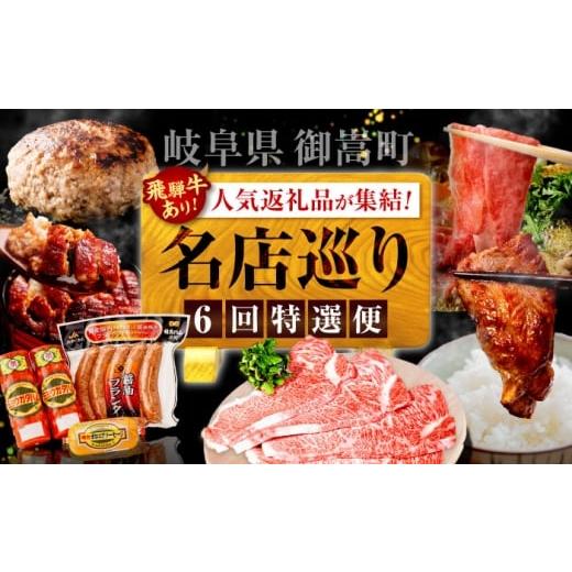 ふるさと納税 牛肉 サーロイン 岐阜県 御嵩町 6回定期便 御嵩町の名店横断 贅沢バラエティ便 / 飛騨牛 鰻 ハラミ 明方ハム ハンバーグ / 岐阜県 御嵩町 AVB…