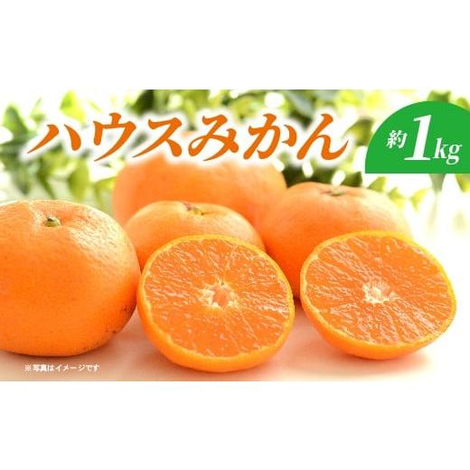 ふるさと納税 果物類 みかん 佐賀県 多久市 ハウスみかん 約1kg _c-139