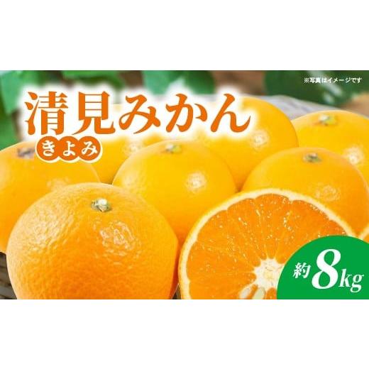 ふるさと納税 みかん・柑橘類 佐賀県 多久市 清見(きよみ)みかん 約8kg _c-141