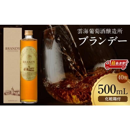ふるさと納税 お酒 宮崎県 宮崎市 超最速便 雲海葡萄酒醸造所 ブランデー 500ml_M375-005-01-1W 16,000円 500ml