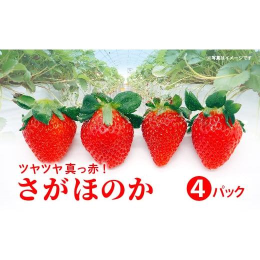 ふるさと納税 いちご 佐賀県 多久市 さがほのか 4パック _b-498
