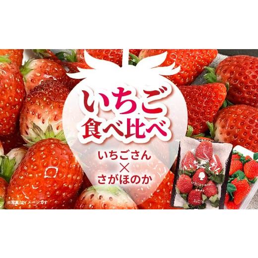 ふるさと納税 いちご 佐賀県 多久市 いちご食べ比べ(いちごさん・さがほのか) _b-497