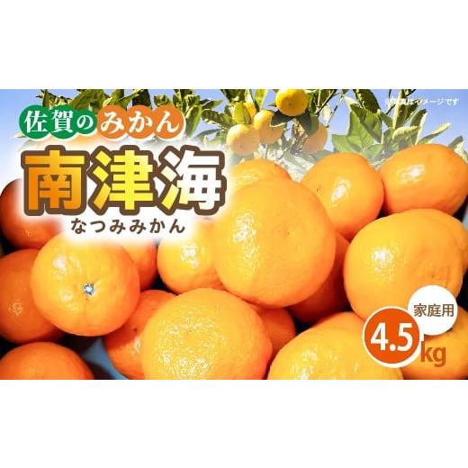 ふるさと納税 みかん・柑橘類 佐賀県 多久市 ご家庭向け 南津海(なつみ)みかん 4.5kg _b-501