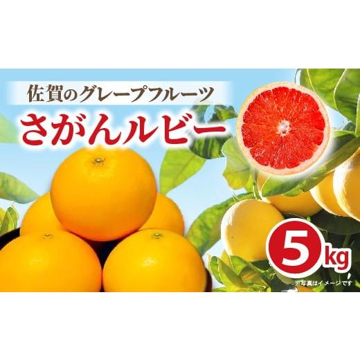 ふるさと納税 みかん・柑橘類 佐賀県 多久市 さがんルビー 5kg(グレープフルーツ) _c-138