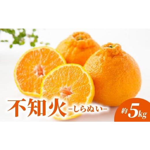 ふるさと納税 みかん・柑橘類 佐賀県 多久市 不知火 しらぬい 約5kg _c-143