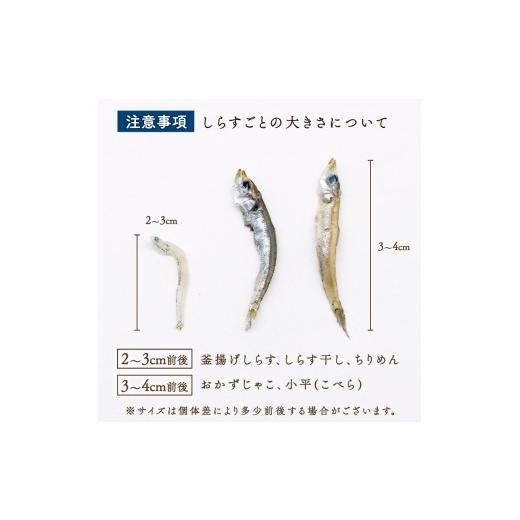 ふるさと納税 魚貝類 しらす 高知県 南国市  定期便6回 おかずじゃこ 2.7kg | 300ｇ×9袋 定期便 小分け 冷凍配送 お取り寄せ 国産 おかず チリメンジャコ シ…_5