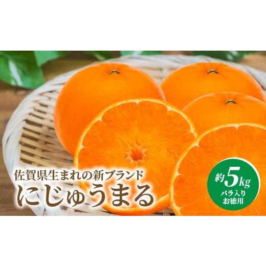ふるさと納税 みかん・柑橘類 佐賀県 多久市 にじゅうまる 約5kg バラ入り お徳用 _e-38