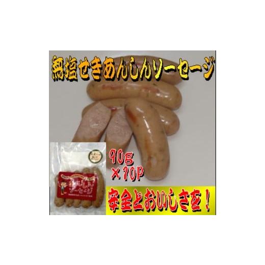 ふるさと納税 肉 ソーセージ 宮城県 美里町 無塩せきあんしんソーセージ 10パック
