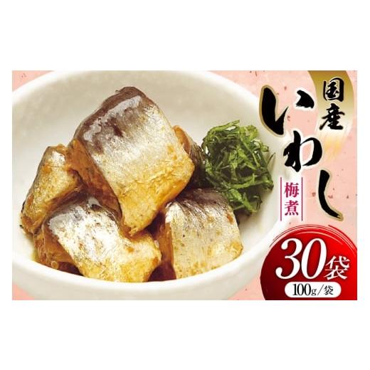 ふるさと納税 加工品等 レトルト 宮城県 気仙沼市 いわし 梅煮 100g 30袋 計3kg 気仙沼市物産振興協会 宮城県 気仙沼市 20565956 魚 魚介類 梅煮 レトルト 簡…の画像