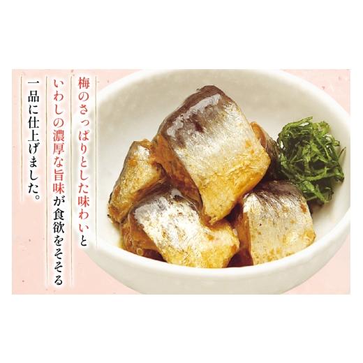 ふるさと納税 加工品等 レトルト 宮城県 気仙沼市 いわし 梅煮 100g 30袋 計3kg 気仙沼市物産振興協会 宮城県 気仙沼市 20565956 魚 魚介類 梅煮 レトルト 簡…の画像