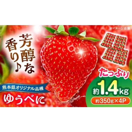 ふるさと納税 果物類 熊本県 合志市 先行予約 いちご ゆうべに 百花園ファーム 約1.4kg(約350g×4P)20粒/P Lサイズ 亀井通産 株式会社