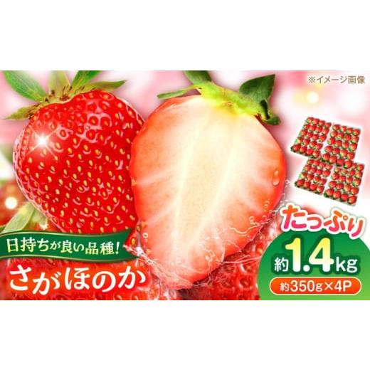 ふるさと納税 果物類 熊本県 合志市 先行予約 いちご さがほのか 百花園ファーム 約1.4kg(約350g×4P)20粒/P Lサイズ 亀井通産 株式会社