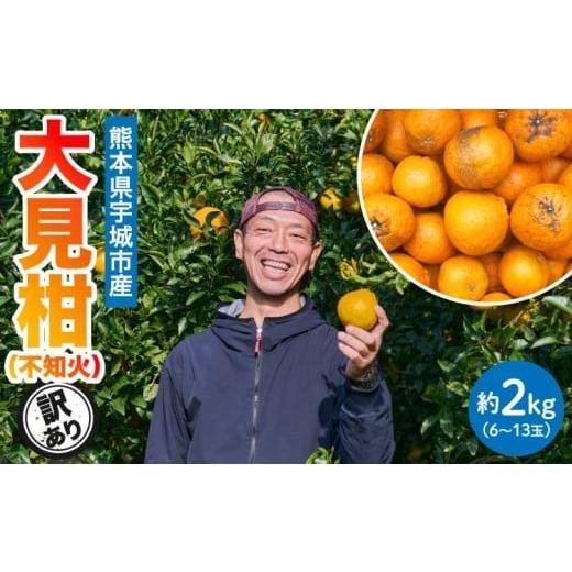 ふるさと納税 みかん・柑橘類 デコポン 熊本県 宇城市 先行予約 熊本大見柑 (不知火) 訳あり 2kg (6〜13玉) 2026年2月上旬〜2月下旬頃発送予定 しらぬい みか…