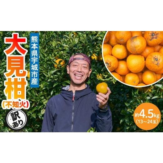 ふるさと納税 みかん・柑橘類 デコポン 熊本県 宇城市 先行予約 熊本大見柑 (不知火) 訳あり 4.5kg (13〜24玉) 2027年2月上旬から2027年2月下旬発送予定 しら…