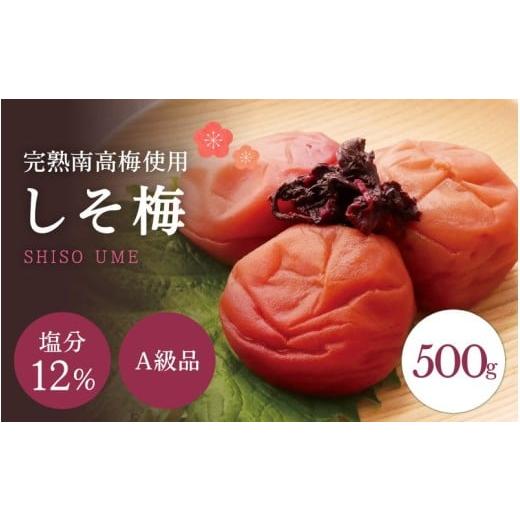 ふるさと納税 加工品等 梅干 和歌山県 田辺市 A級品 紀州南高梅 しそ梅 500g 塩分12% / 梅干し 梅干 うめぼし 南高梅 しそ梅 しそ梅干し シソ 紫蘇 国産 梅…