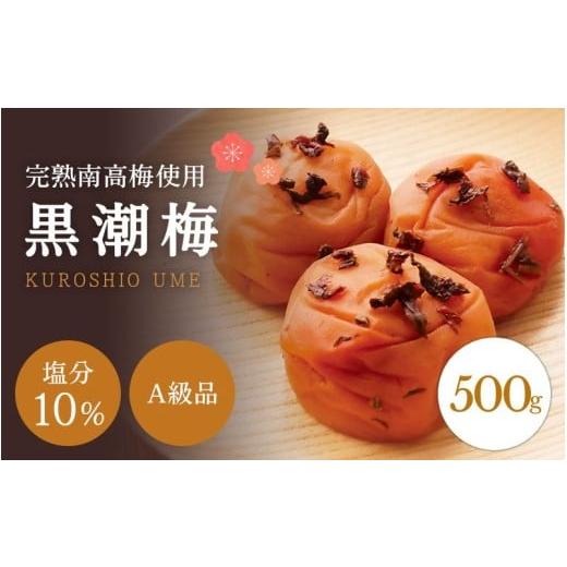 ふるさと納税 加工品等 梅干 和歌山県 田辺市 A級品 紀州南高梅 黒潮梅 500g 塩分10% / 梅干し 梅干 うめぼし 南高梅 国産 梅 うめ ウメ 完熟 しそ 紫蘇 シ…
