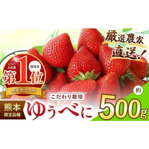 ふるさと納税 いちご 熊本県 玉名市 イチゴ 生産量 西 日本一 ? 厳選農家直送 いちご ゆうべに 約 500g | フルーツ 果物 くだもの 苺 いちご 熊本県 玉名市 ゆ…