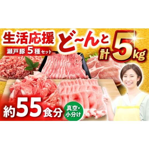 ふるさと納税 豚肉 しゃぶしゃぶ 愛知県 瀬戸市 10月発送 瀬戸豚 豚肉 生活応援 セット 計5kg / 豚肉 小分け ミンチ 切り落とし バラ肉 豚ロース しゃぶしゃ…