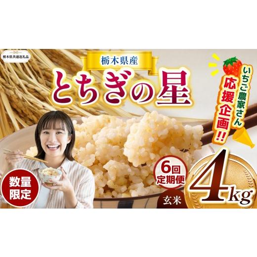 ふるさと納税 玄米 栃木県 那珂川町 栃木県共通返礼品 先行予約 定期6回 訳あり 令和8年度産 数量 限定 栃木県産 とちぎの星 約4kg | 定期便 とちぎの星 数量…