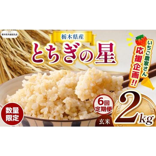 ふるさと納税 玄米 栃木県 那珂川町 栃木県共通返礼品 先行予約 定期6回 訳あり 令和8年度産 米 数量 限定 栃木県産 とちぎの星 約 2kg | とちぎの星 数量限…