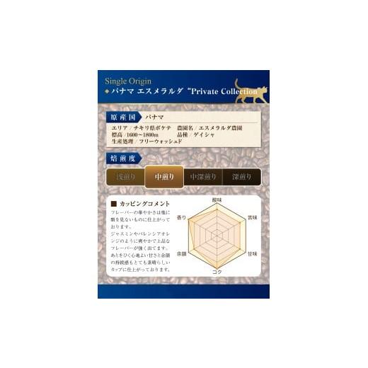 ふるさと納税 コーヒー コーヒー粉 神奈川県 藤沢市 コーヒー 粉 100g × 2袋 パナマ エスメラルダ農園 プライベートコレクション ゲイシャ 飲み比べ グレード…の画像