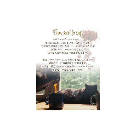 ふるさと納税 コーヒー コーヒー粉 神奈川県 藤沢市 コーヒー 粉 100g × 2袋 パナマ エスメラルダ農園 プライベートコレクション ゲイシャ 飲み比べ グレード…の画像