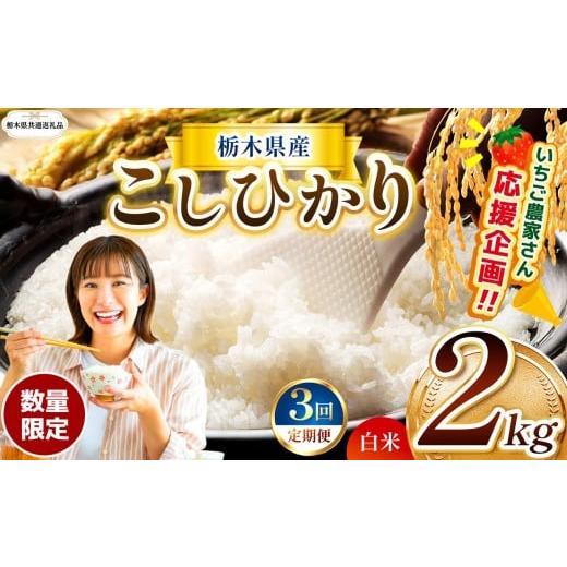 ふるさと納税 米 コシヒカリ 栃木県 那珂川町 訳あり 令和7年度 栃木県共通返礼品 数量限定 定期3回 令和7年度 栃木県産コシヒカリ 2kg | 数量限定 こしひか…