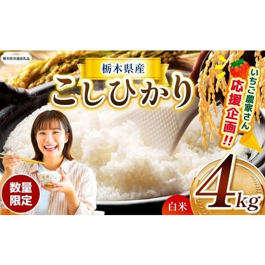 ふるさと納税 米 コシヒカリ 栃木県 那珂川町 栃木県共通返礼品 訳あり数量 限定 令和7年度 栃木県産コシヒカリ 約 4kg | 数量限定 こしひかり 精米 白米 米 …