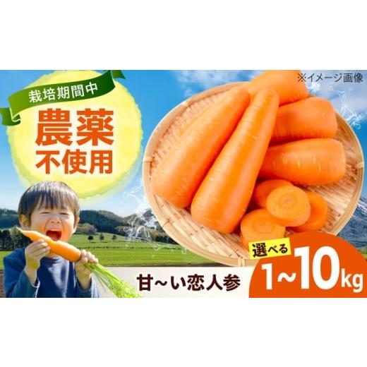 ふるさと納税 野菜類 人参 広島県 福山市 人参 1kg 人参 にんじん 野菜 やさい 旬の野菜 旬 季節 新鮮 採れたて 広島県福山市/しもみん農場 BAGT002 1kg