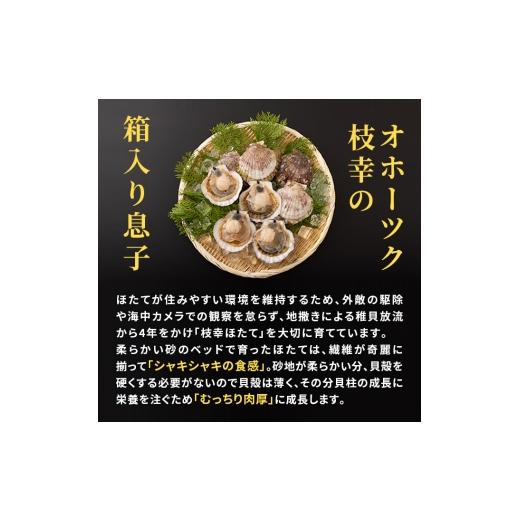 ふるさと納税 魚貝類 ホタテ 北海道 枝幸町 プロも認めるオホーツクブランド「枝幸ほたて」冷凍貝柱1kg（4Sサイズ：51粒〜60粒）枝幸漁協 刺身 魚介 帆立 超目…の画像