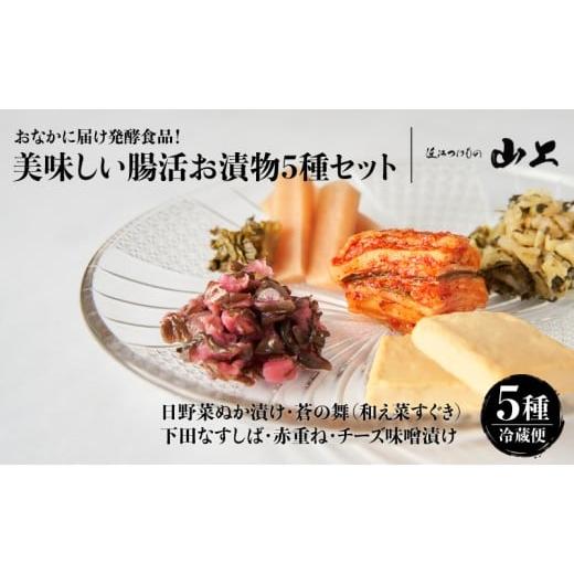 ふるさと納税 加工品等 漬物 滋賀県 湖南市 お漬物セット おなかに届け発酵食品 美味しい腸活お漬物5種セット/日野菜ぬか漬け・蒼の舞(和え菜すぐき)・下田…