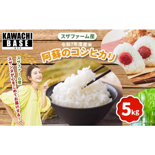 【新品・未開封】熊本県産 お米 15kg (5kg×3袋) ◎先行予約【令和8年度新米】もっちり食感甘い！熊本県産お米（森の