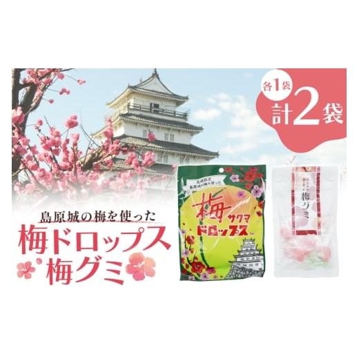 ふるさと納税 飴(あめ) 長崎県 島原市 AJ233 島原城の梅を使った「梅ドロップス」「梅グミ」各1袋 計2袋 株式会社島原観光ビューロー 長崎県 島原市 お菓子…