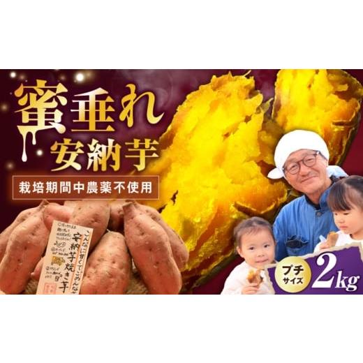 ふるさと納税 野菜類 サツマイモ 滋賀県 長浜市 熟成 プチサイズ安納芋 2kg 滋賀県長浜市/好作豊吉 AQCF001 さつまいも サツマイモ さつま芋 焼き芋 やきい…