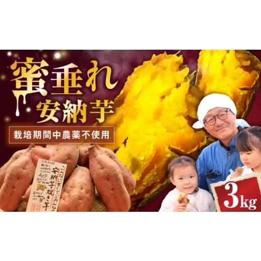 ふるさと納税 野菜類 サツマイモ 滋賀県 長浜市 厳選 熟成安納芋 3kg 滋賀県長浜市/好作豊吉 AQCF005 さつまいも サツマイモ さつま芋 焼き芋 やきいも スイ…