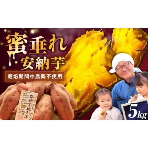 ふるさと納税 野菜類 サツマイモ 滋賀県 長浜市 厳選 熟成安納芋 5kg 滋賀県長浜市/好作豊吉 AQCF007 さつまいも サツマイモ さつま芋 焼き芋 やきいも スイ…