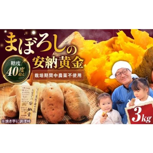 ふるさと納税 野菜類 サツマイモ 滋賀県 長浜市 厳選 熟成安納黄金 3kg 滋賀県長浜市/好作豊吉 AQCF009 さつまいも サツマイモ さつま芋 焼き芋 やきいも ス…
