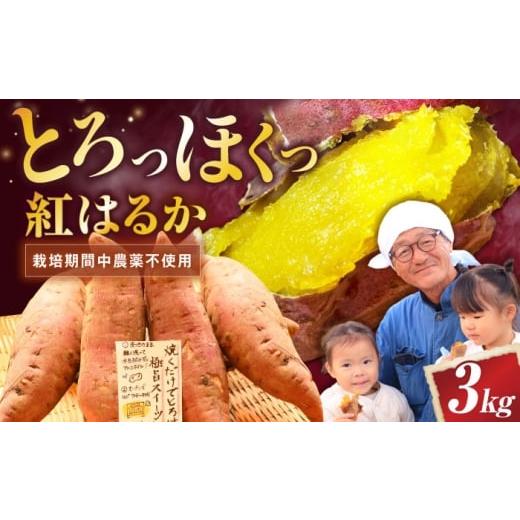 ふるさと納税 野菜類 サツマイモ 滋賀県 長浜市 厳選 紅はるか 3kg 滋賀県長浜市/好作豊吉 AQCF013 さつまいも サツマイモ さつま芋 焼き芋 べにはるか ベニ…